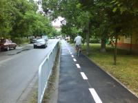 Imagine atasata: pista crisan 04.JPG